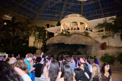 NLC-2025-SpecialEvent073