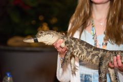 NLC-2025-SpecialEvent087