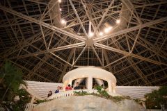 NLC-2025-SpecialEvent123