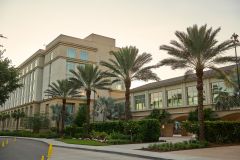 NLC-2025-SpecialOlympicsWalk002